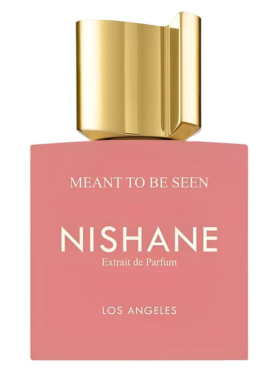 Nishane Meant To Be Seen perfume bottle - luxury fragrance