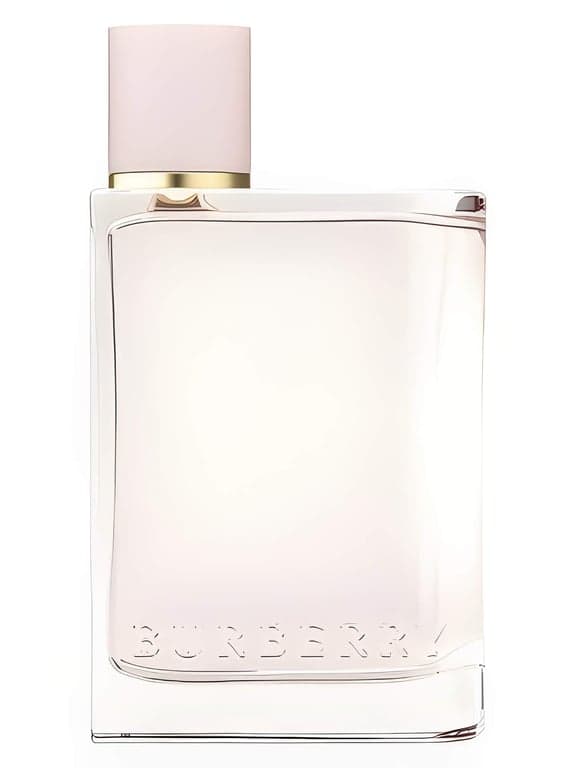 Burberry Burberry Her perfume bottle - luxury fragrance