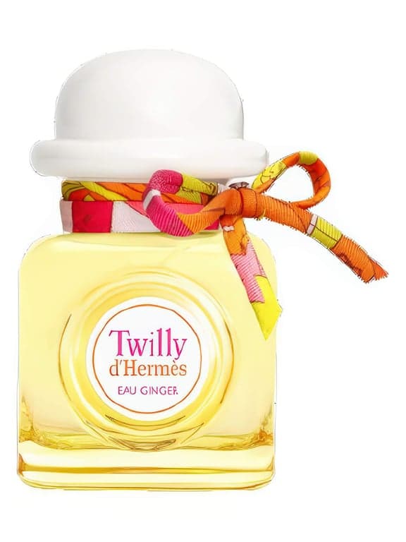 Hermès Twilly d'Hermès Eau Ginger perfume bottle – blurred decorative background