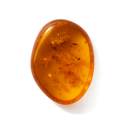 Amber Xtreme fragrance note