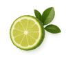 Bergamot
