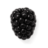 Blackberry fragrance note