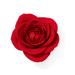 Bulgarian Rose fragrance note