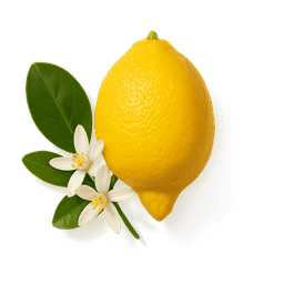 Calabrian bergamot fragrance note