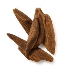 Cambodian Oud fragrance note