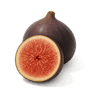 Fig