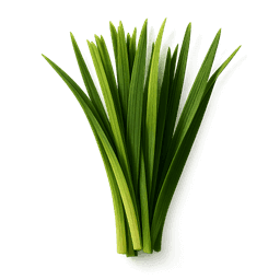 Haitian Vetiver fragrance note
