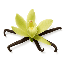 Madagascan Vanilla fragrance note