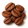 Roasted Coffee Beans fragrance note