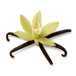 Tahitian Vanilla fragrance note