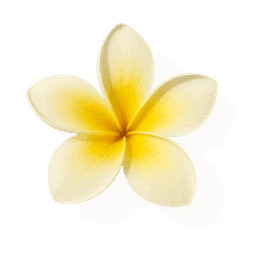 Tiare Flower fragrance note