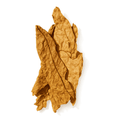 Tobacco Blossom fragrance note