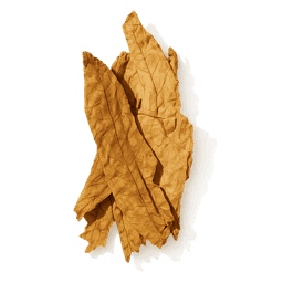 Tobacco Leaf fragrance note