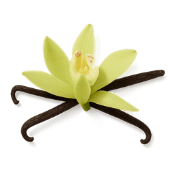 Vanilla Flower fragrance note
