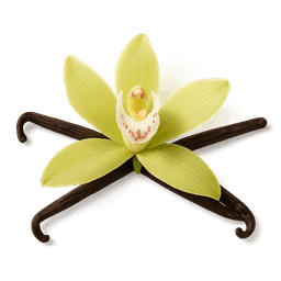 Vanilla Sugar fragrance note