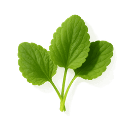 Violet Leaves fragrance note