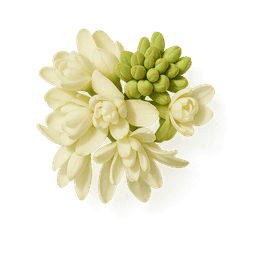 White Flowers fragrance note