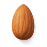 Almond fragrance note