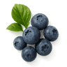 Blueberry fragrance note