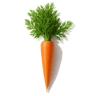 Carrot fragrance note
