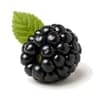 Dewberry fragrance note
