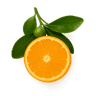 Mandarin Orange fragrance note