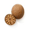 Nutmeg fragrance note