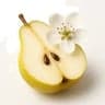 Pear Blossom fragrance note
