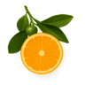 Sicilian Mandarin fragrance note