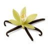 Tahitian Vanilla fragrance note