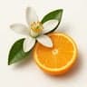 Tunisian Orange Blossom fragrance note
