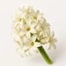 White Hyacinth fragrance note