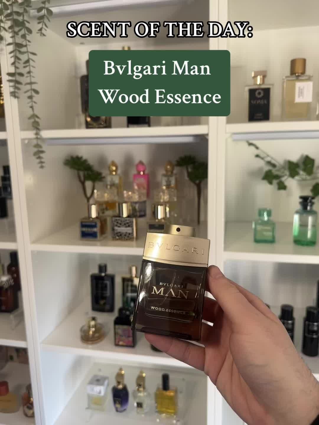 Bvlgari Man Wood Essence | The perfect inoffensive work friendly fragrance, it won't last 12+ hours so just...re apply?? #fragrance #fyp #scentoftheday 