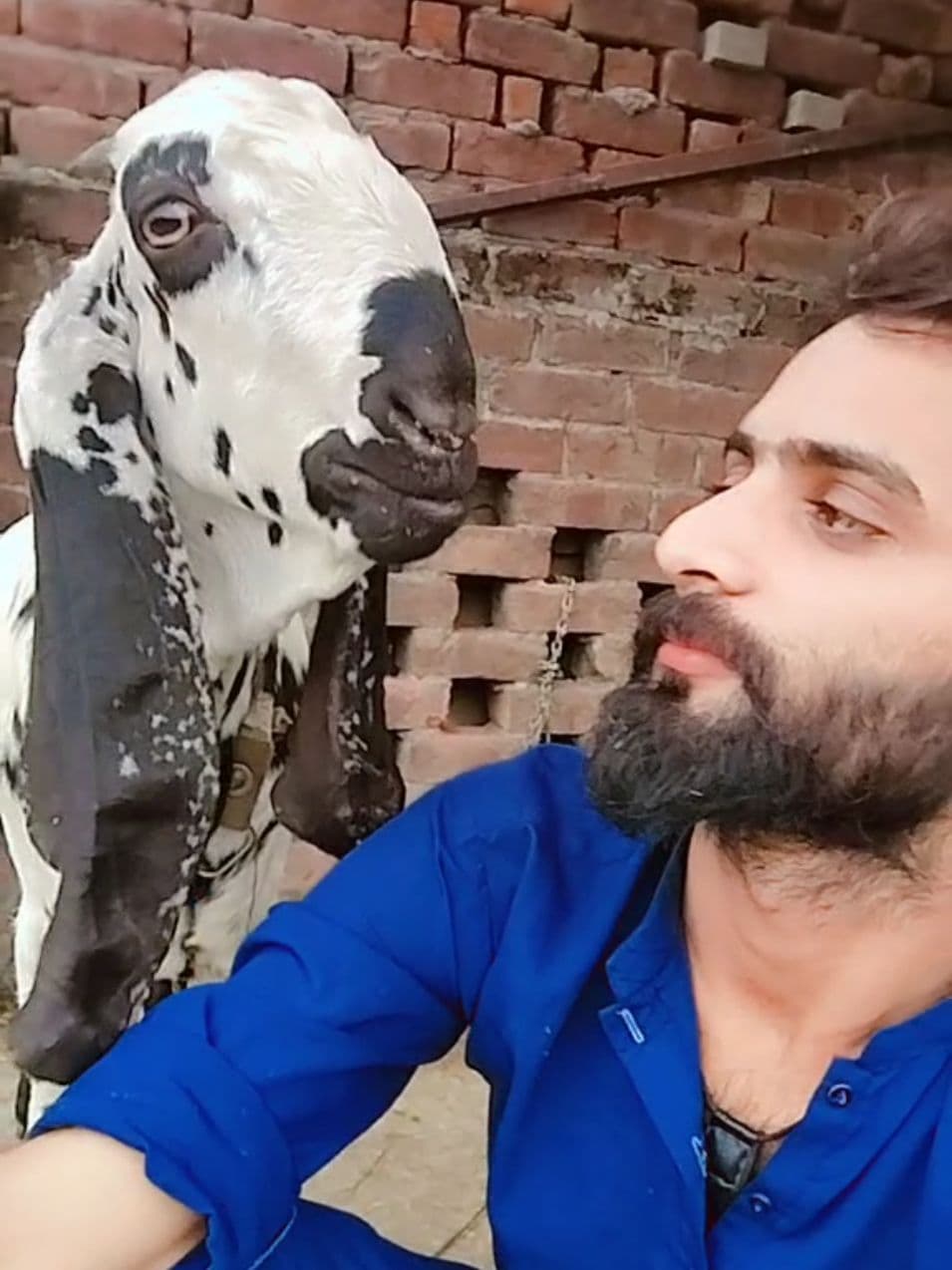 1milon like plz tiktok team #fyppppppppppppppppppppppp #fyppppppppppppppppppppppp #fyppppppppppppppppppppppp #fyppppppppppppppppppppppp #fyppppppppppppppppppppppp 