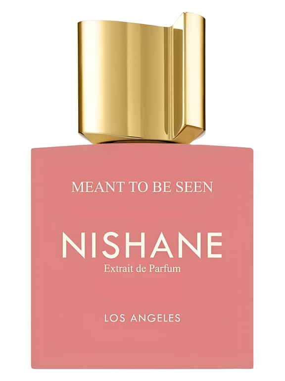 Nishane Meant To Be Seen - luxury perfume bottle