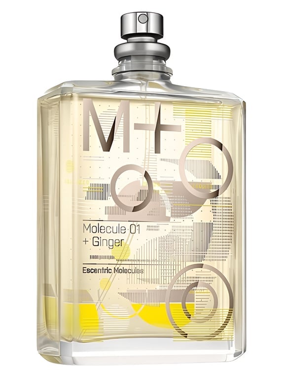 Escentric Molecules Molecule 01 + Ginger - luxury perfume bottle