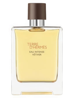 Hermès Terre D'Hermes Eau Intense Vetiver